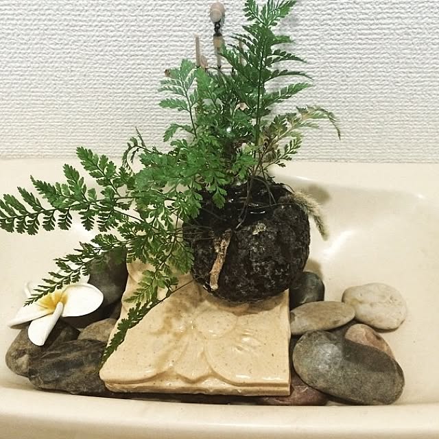 apparadeさんの実例写真