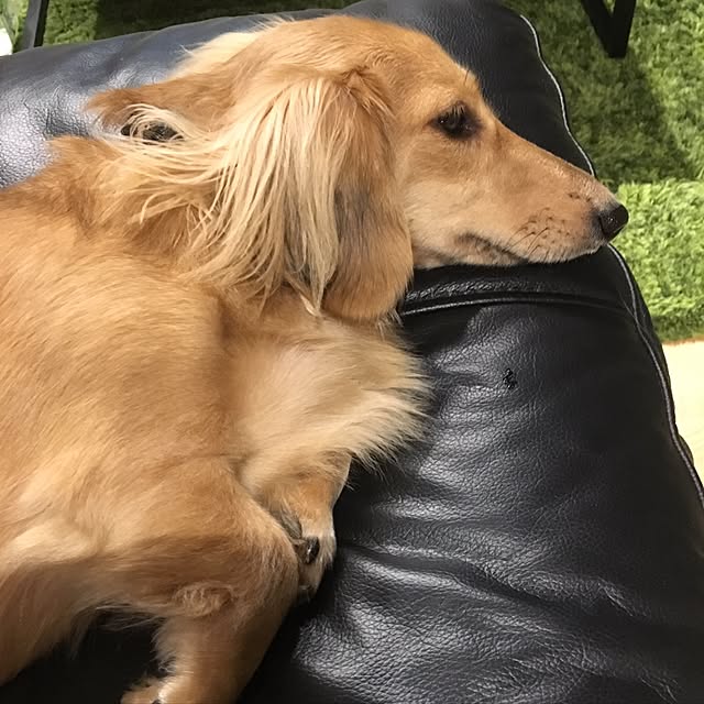 mariaさんの実例写真
