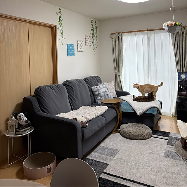 chiiさんの実例写真