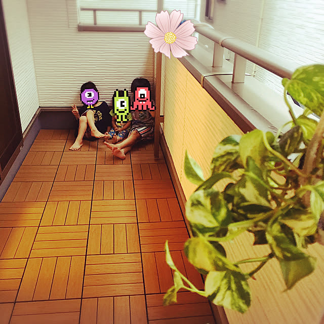 実例写真