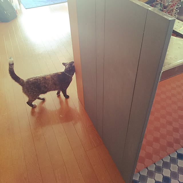 180447hiroさんの実例写真