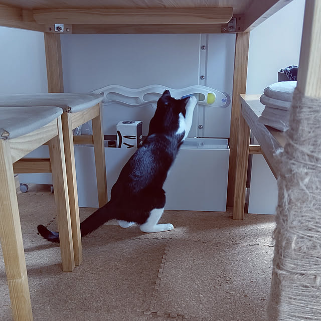 hihaさんの実例写真