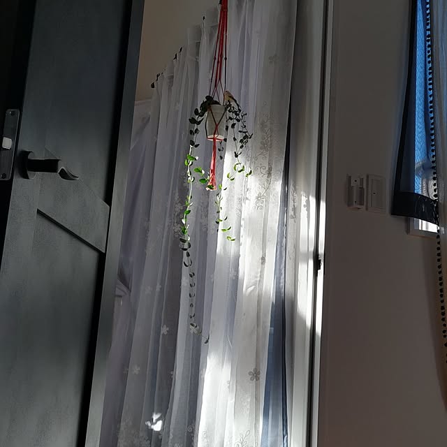 Maroさんの部屋