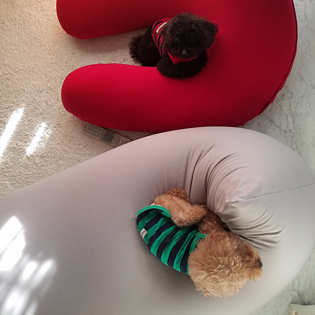 s.nakomama1さんの実例写真