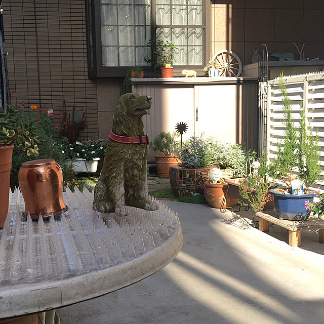 puriyuzuさんの実例写真