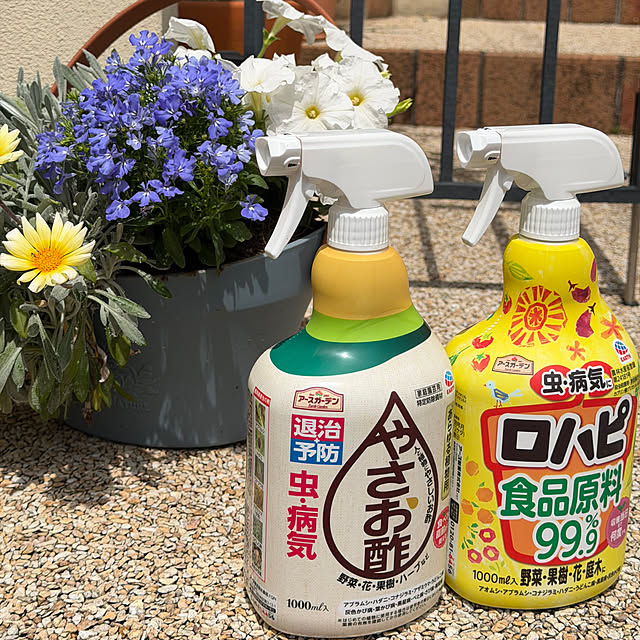 ma...さんの実例写真