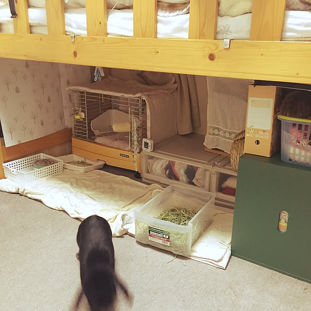 changeさんの実例写真