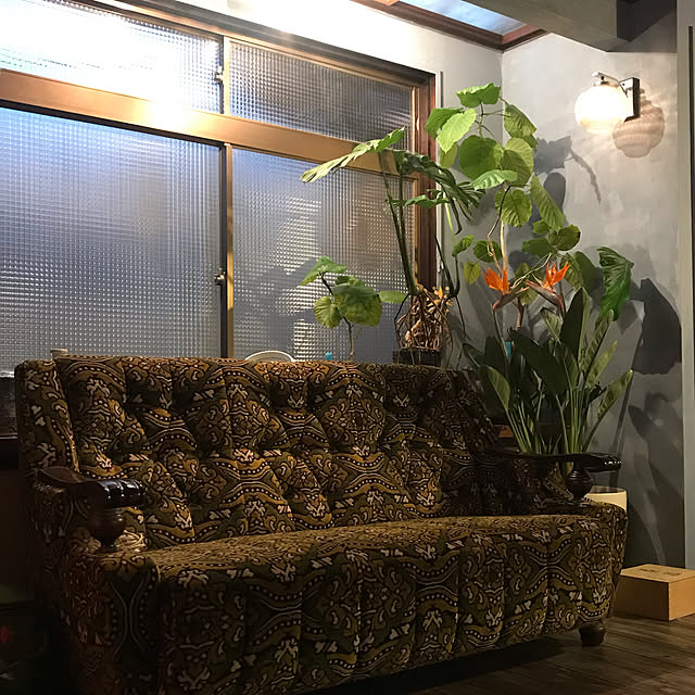 joshua.treeさんの実例写真
