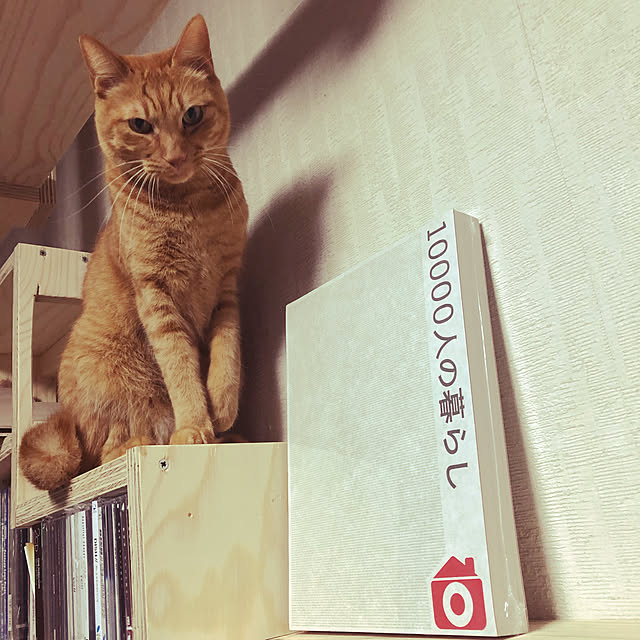 yoshi-yoshiさんの実例写真