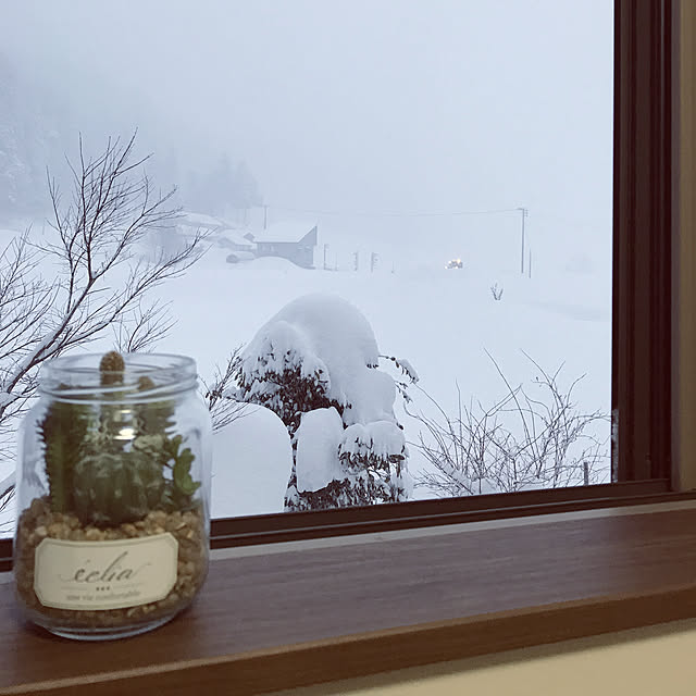 Miriさんの実例写真