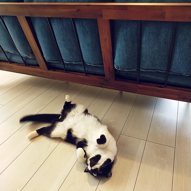 nnk.akさんの実例写真