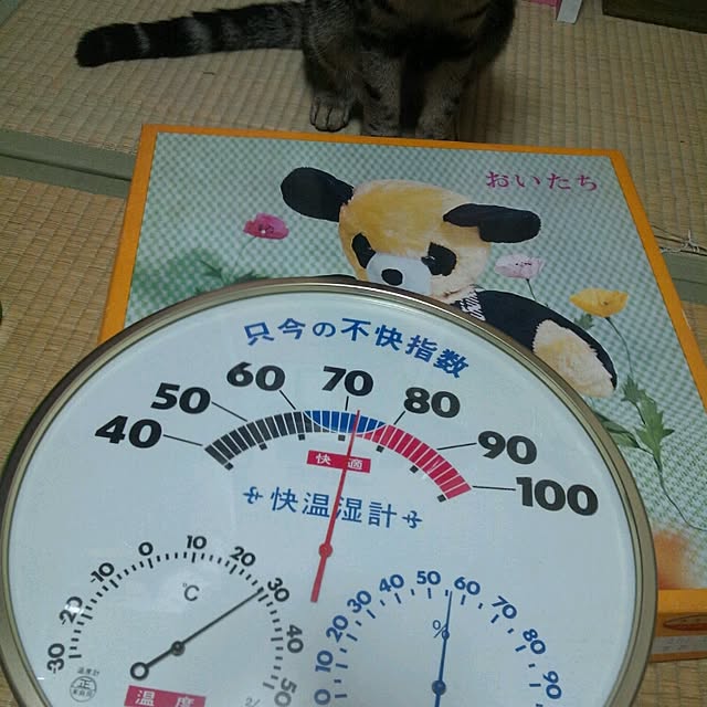 RIN5さんの実例写真