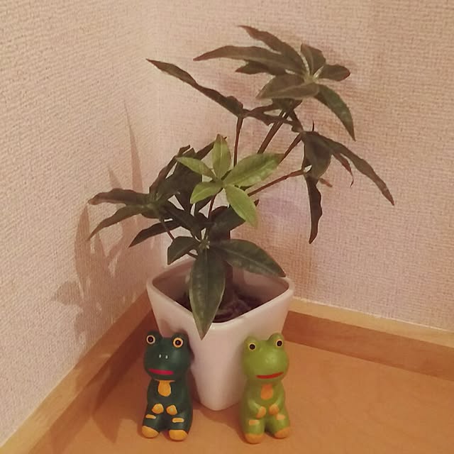 satomiさんの実例写真