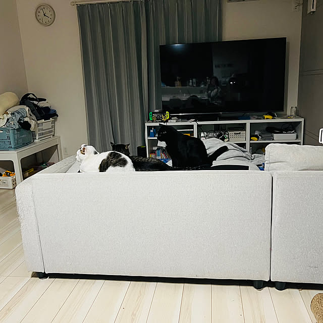nyaakoさんの実例写真