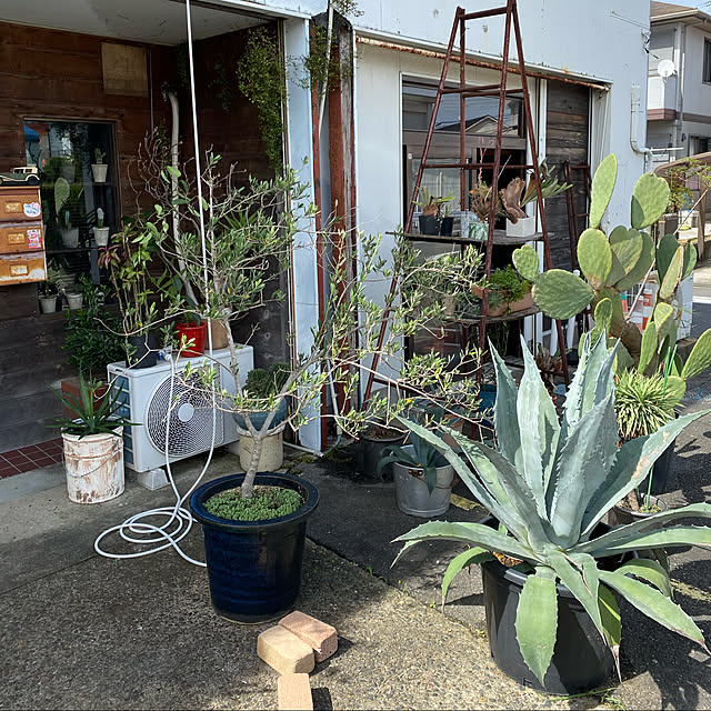 Masahideさんの実例写真