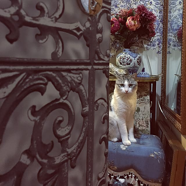 emmyyさんの実例写真
