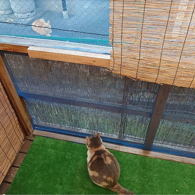 fukuさんの実例写真