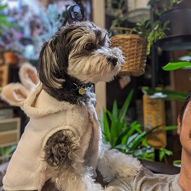 GINさんの部屋
