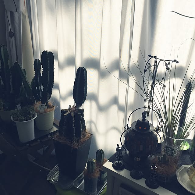 reon21さんの実例写真