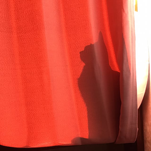 MASAさんの実例写真