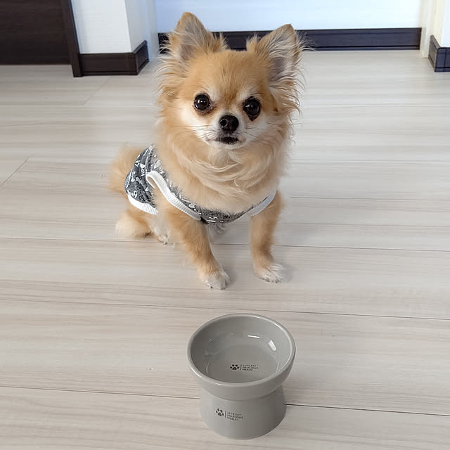 kojikojiさんの実例写真
