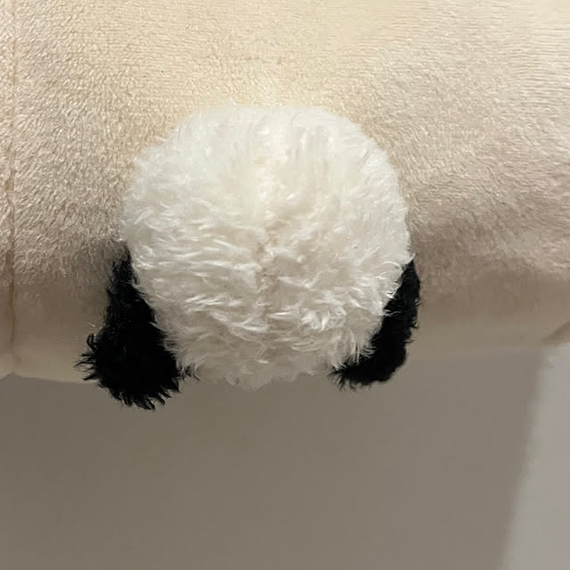 Misakiさんの部屋