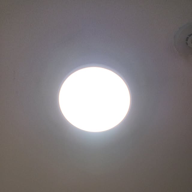iara9さんの実例写真