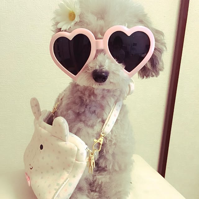 meiさんの実例写真