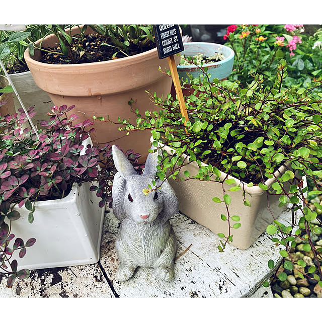 CoCo0617さんの部屋