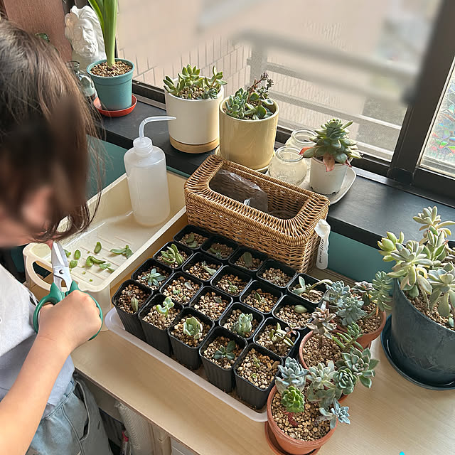 eriさんの実例写真