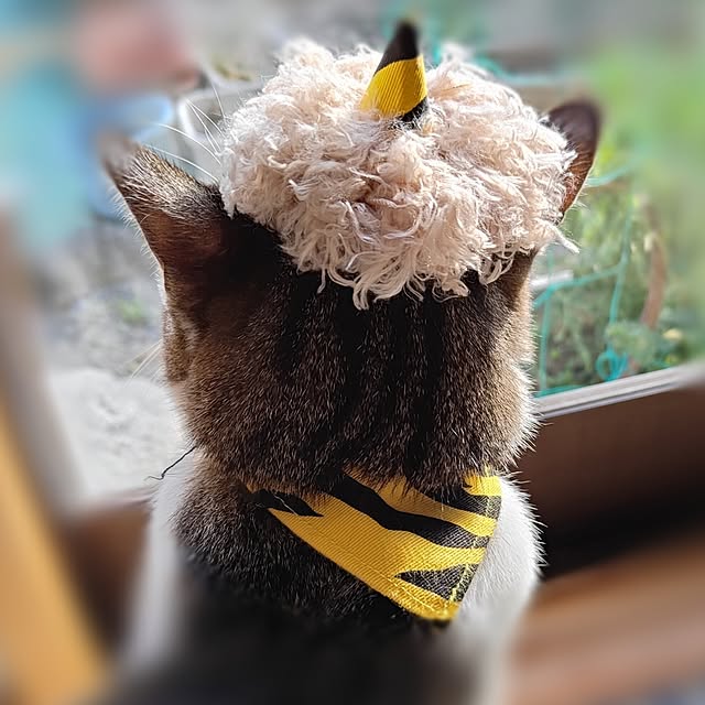 teruminさんの実例写真