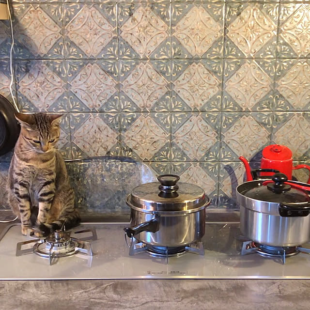 akaneさんの実例写真