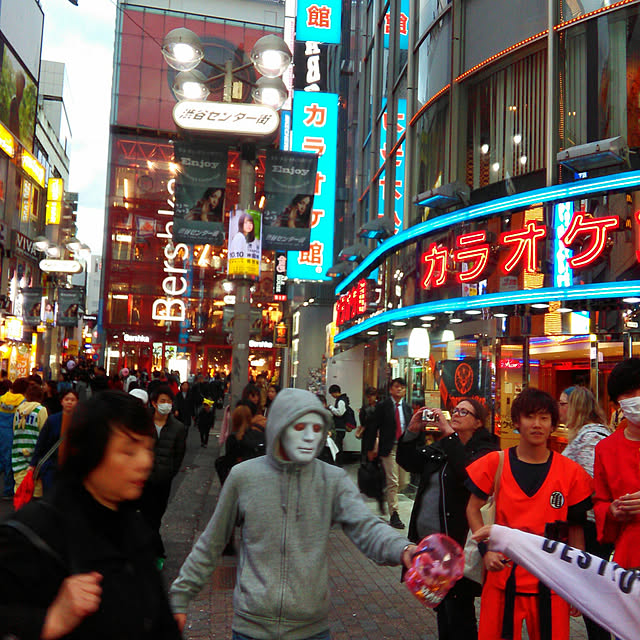 実例写真