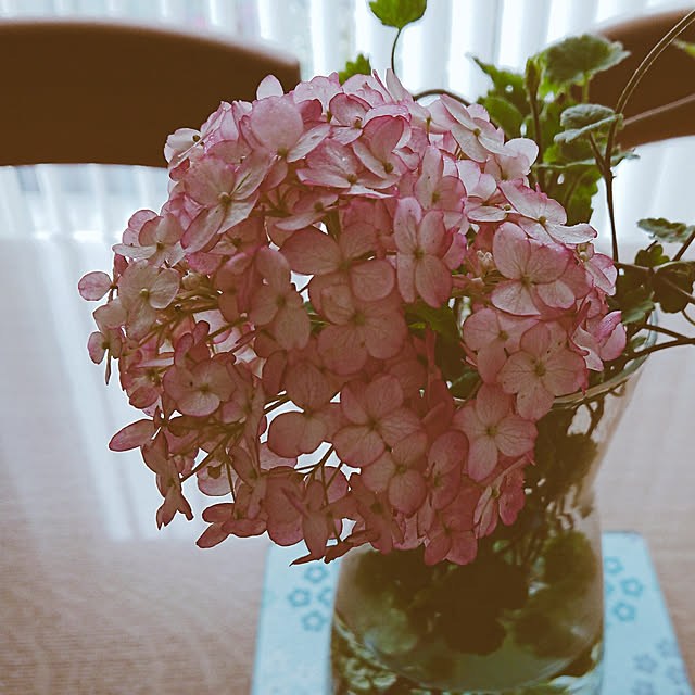 cororoさんの実例写真
