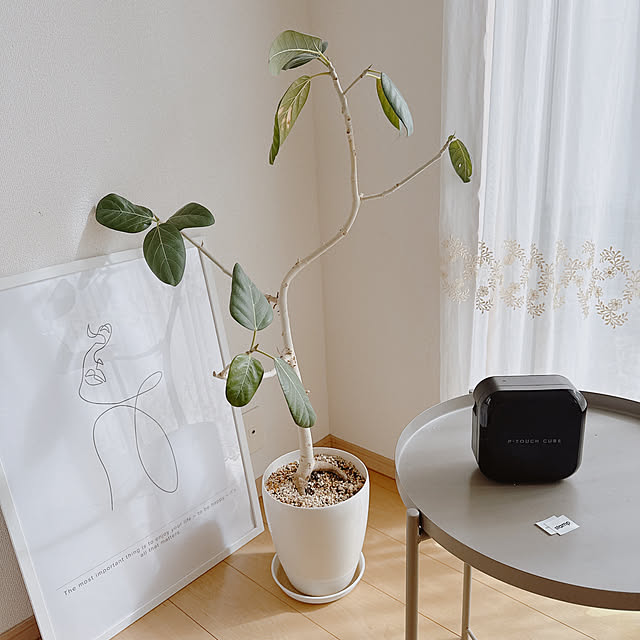 maa_ouchi___さんの実例写真