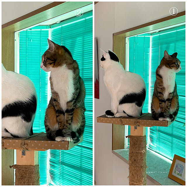 nobikoさんの実例写真