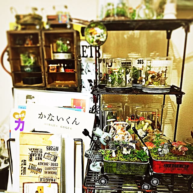 ramuchop3000さんの実例写真