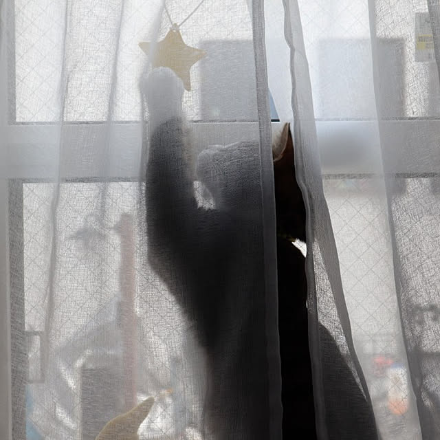 nottanさんの実例写真
