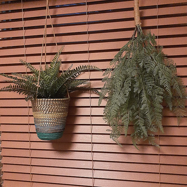 rieさんの実例写真