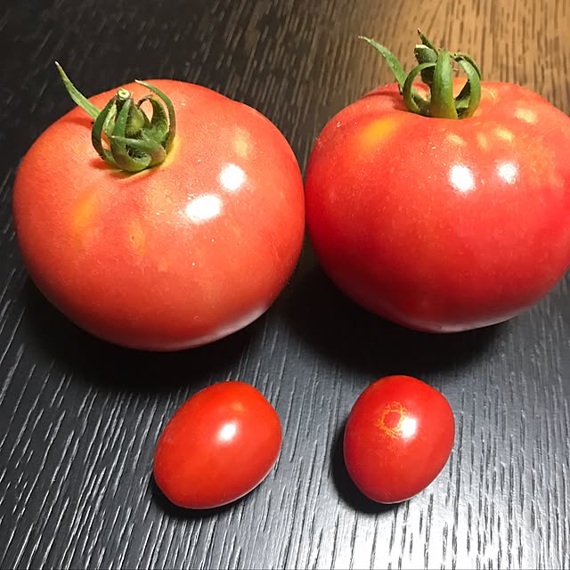 nananaさんの実例写真