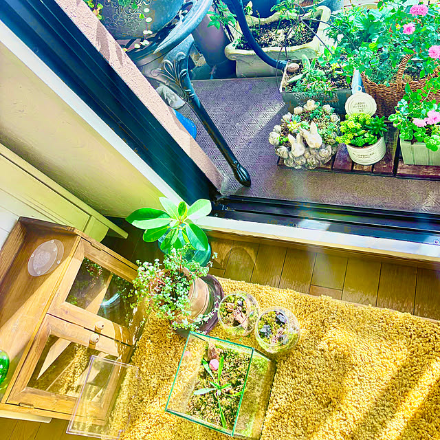 naokoさんの部屋