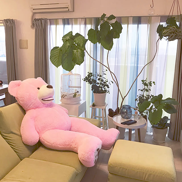 mimichanさんの実例写真