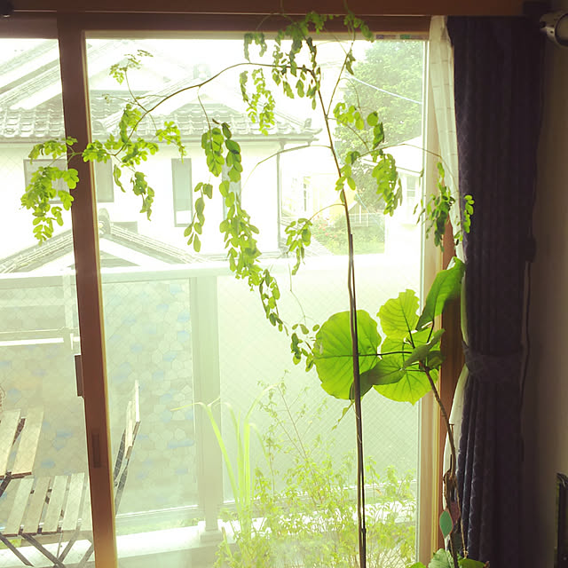 nature-faloさんの実例写真