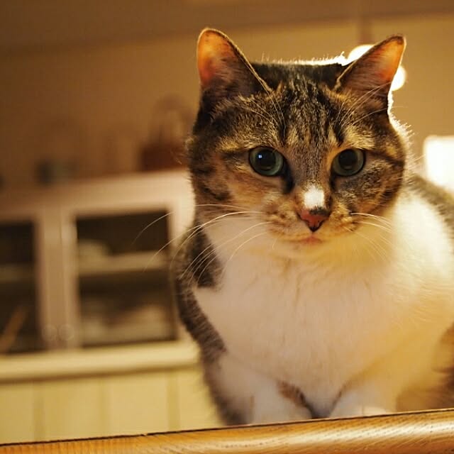 tomo1220さんの実例写真