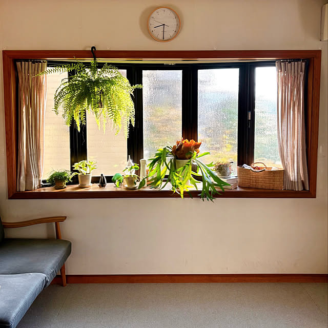 timtamさんの実例写真