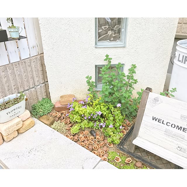 yu-rinさんの実例写真