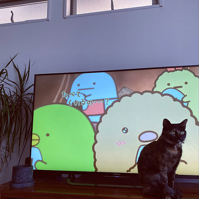 Hanaさんの実例写真