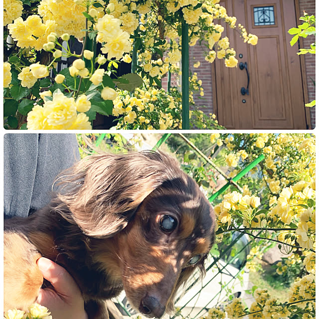 Hiroさんの実例写真