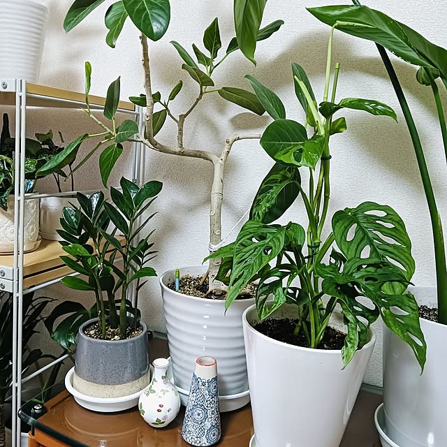 hanachanさんの部屋
