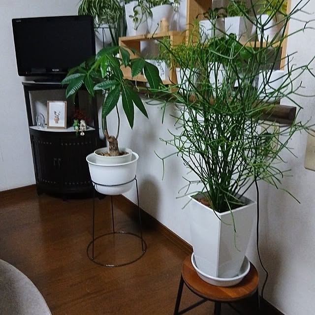 masako921さんの実例写真